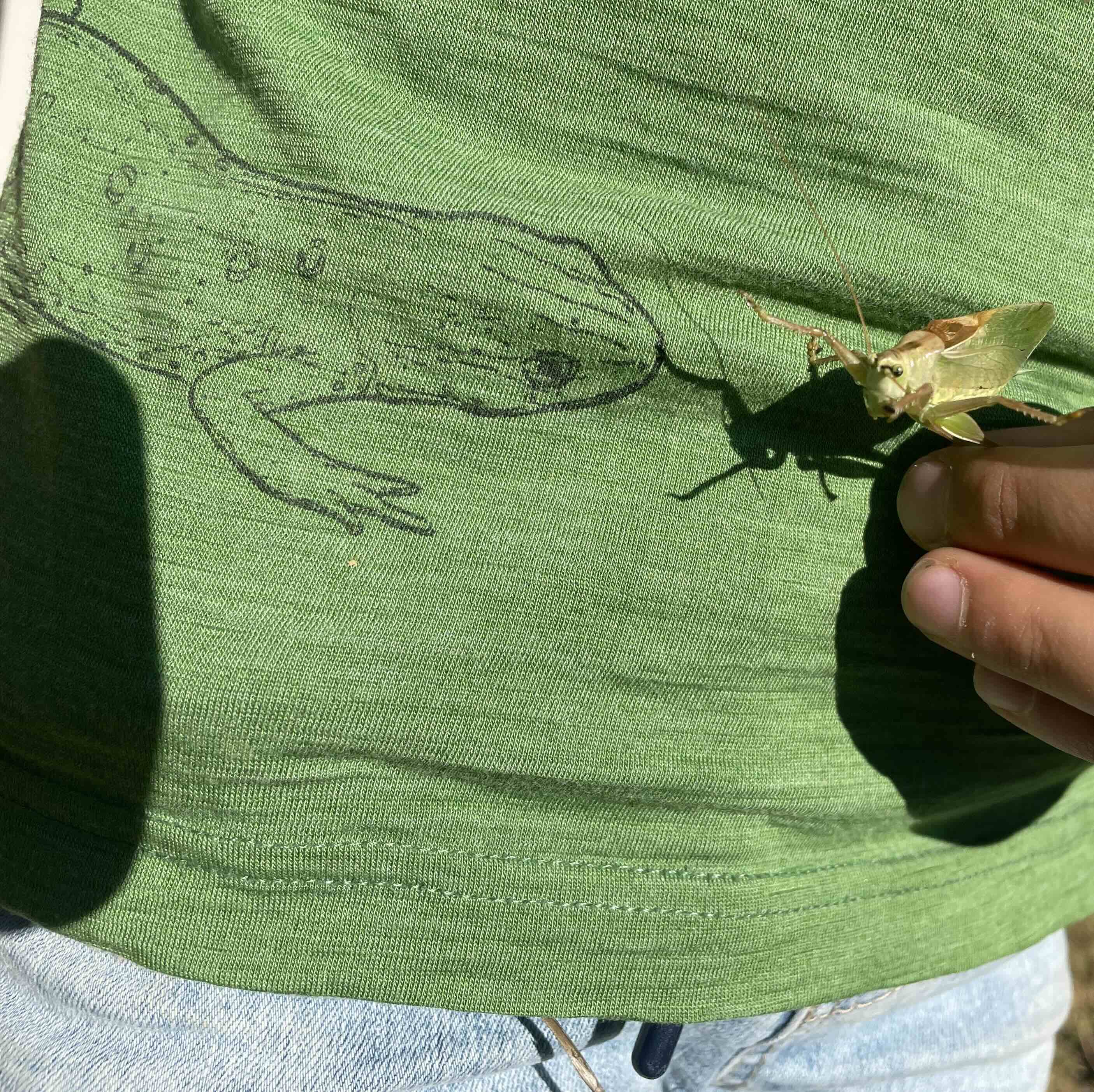 T-Shirt waldgrün mit Salamander, Merinowolle & Seide (bio/GOTS)