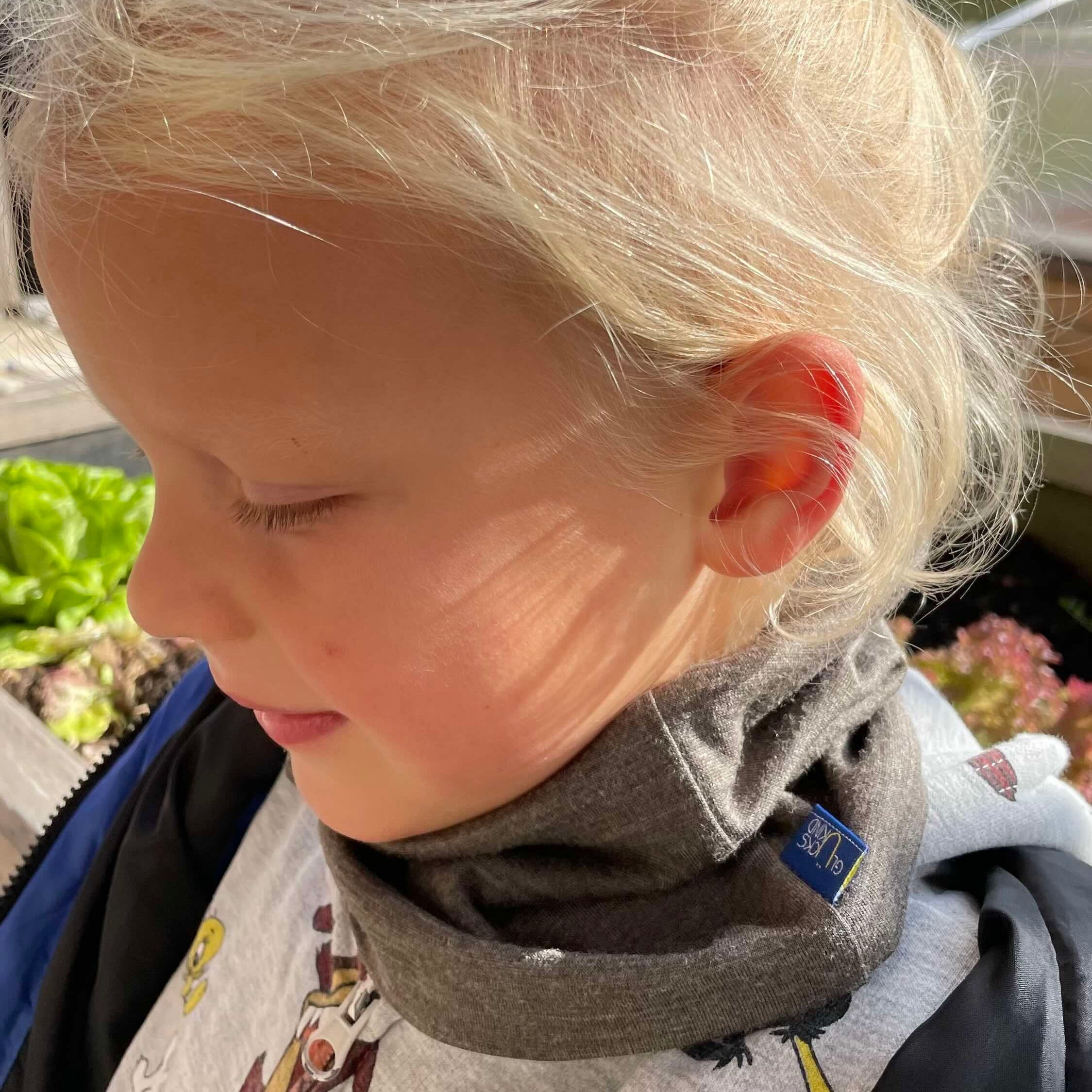 Loop rosé children, merino wool &amp; silk (organic/GOTS)