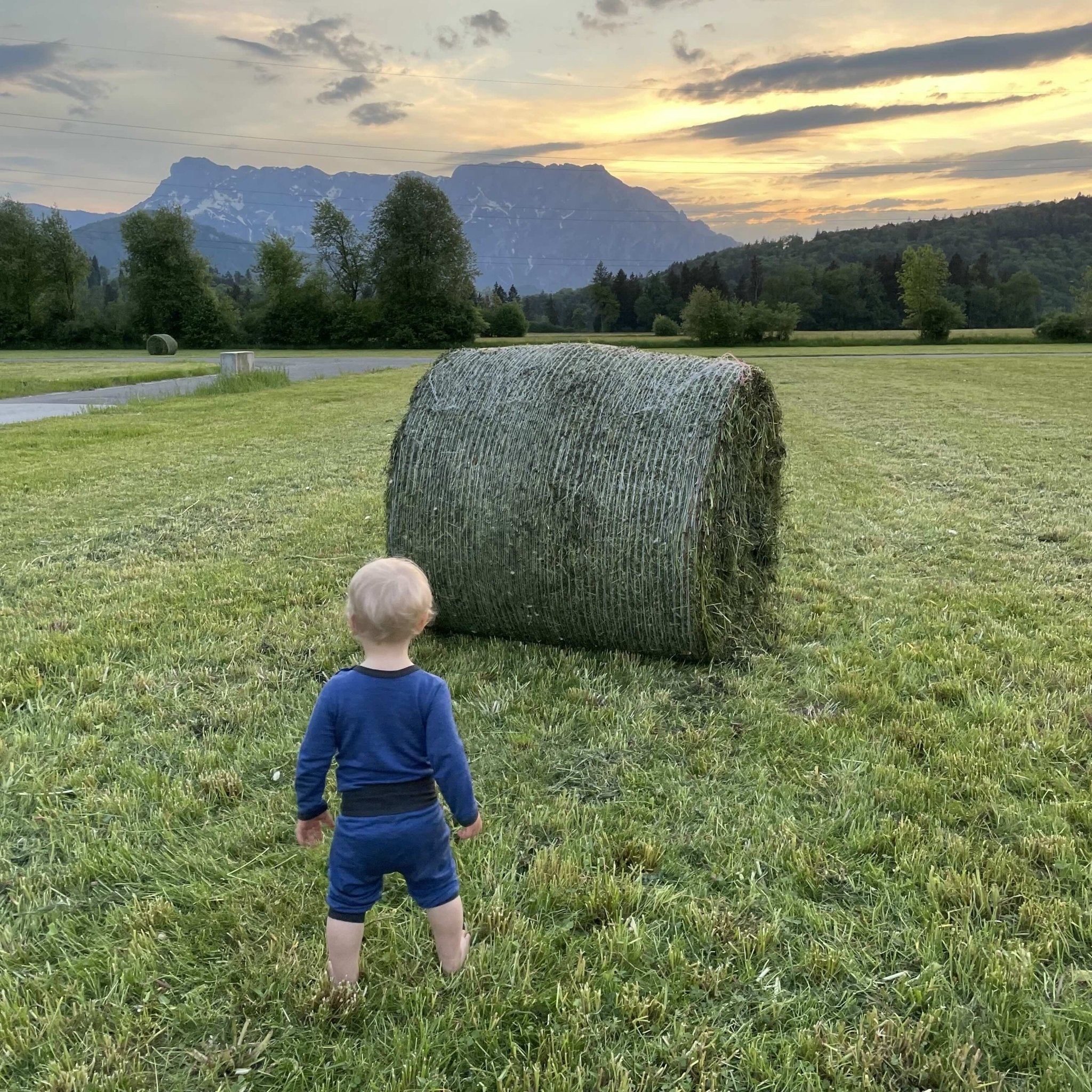 Hose royal blau, Merinowolle & Seide (bio/GOTS) - Glückskind - Hose - 50-56